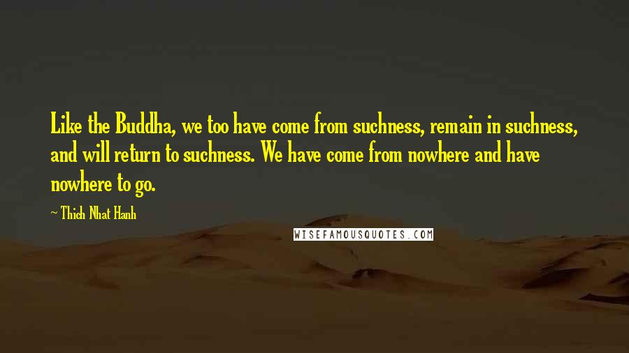 Thich Nhat Hanh Quotes: Like the Buddha, we too have come from suchness, remain in suchness, and will return to suchness. We have come from nowhere and have nowhere to go.