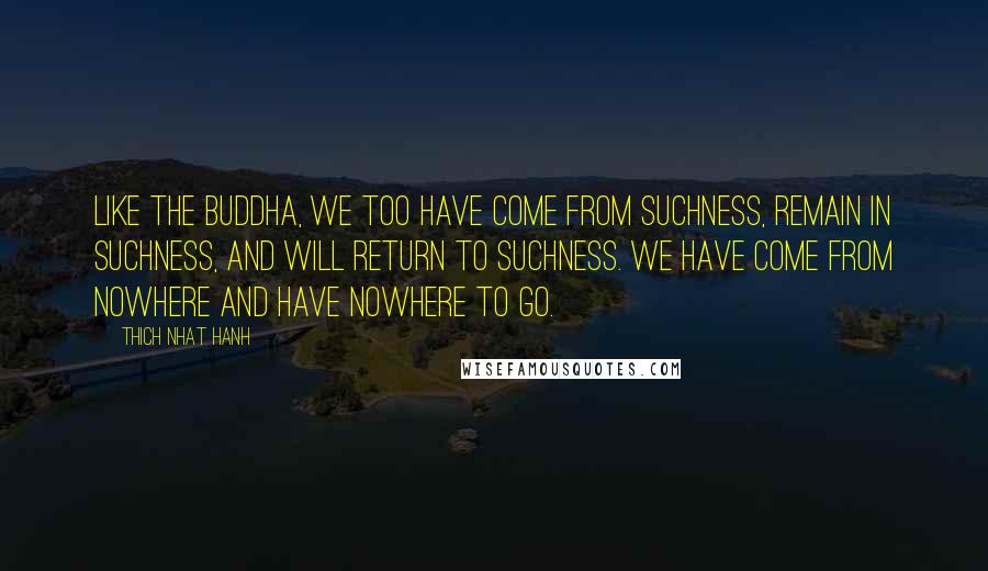 Thich Nhat Hanh Quotes: Like the Buddha, we too have come from suchness, remain in suchness, and will return to suchness. We have come from nowhere and have nowhere to go.