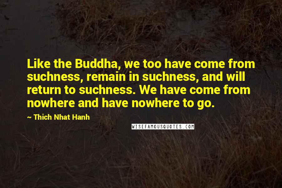 Thich Nhat Hanh Quotes: Like the Buddha, we too have come from suchness, remain in suchness, and will return to suchness. We have come from nowhere and have nowhere to go.