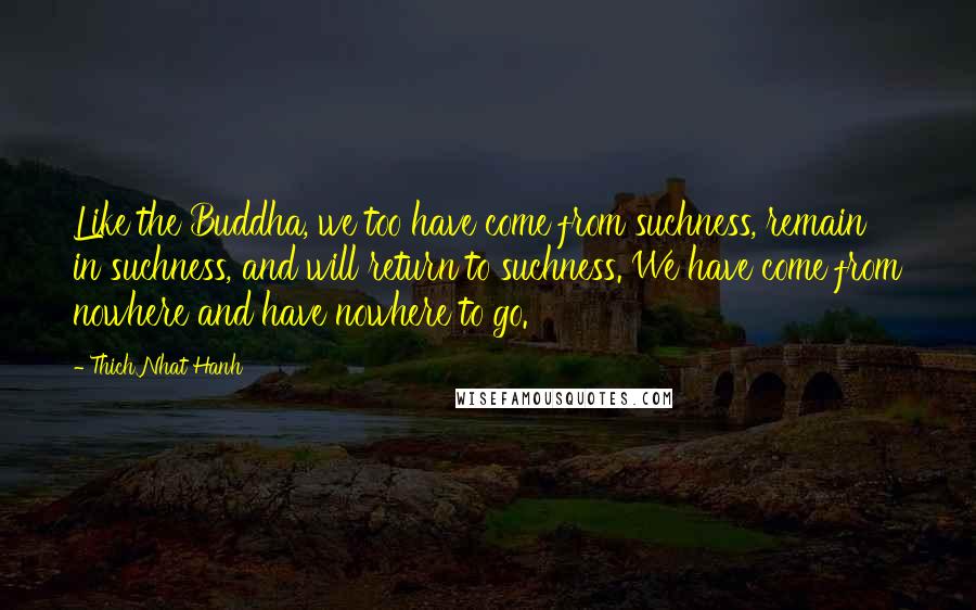 Thich Nhat Hanh Quotes: Like the Buddha, we too have come from suchness, remain in suchness, and will return to suchness. We have come from nowhere and have nowhere to go.