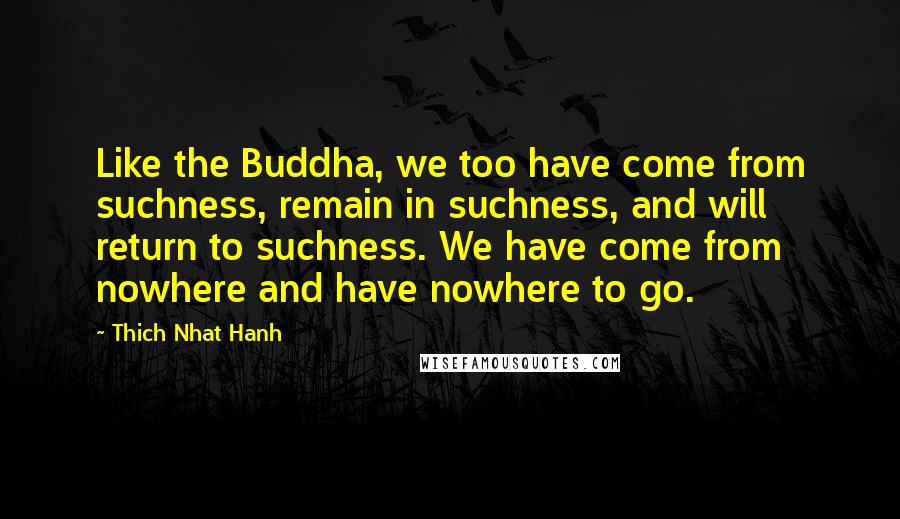 Thich Nhat Hanh Quotes: Like the Buddha, we too have come from suchness, remain in suchness, and will return to suchness. We have come from nowhere and have nowhere to go.