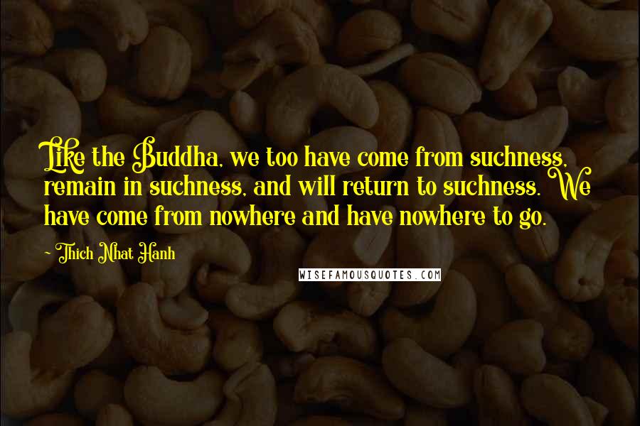 Thich Nhat Hanh Quotes: Like the Buddha, we too have come from suchness, remain in suchness, and will return to suchness. We have come from nowhere and have nowhere to go.