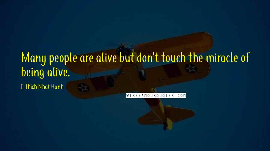 Thich Nhat Hanh Quotes: Many people are alive but don't touch the miracle of being alive.