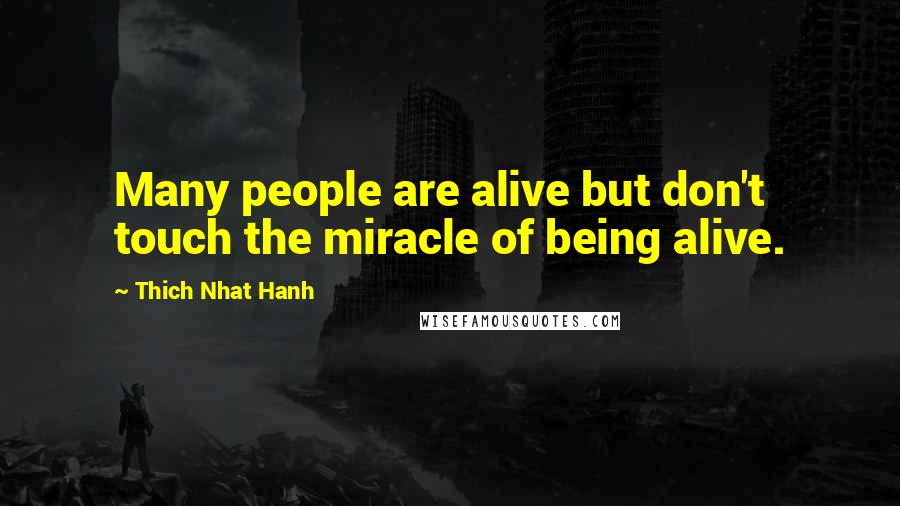 Thich Nhat Hanh Quotes: Many people are alive but don't touch the miracle of being alive.