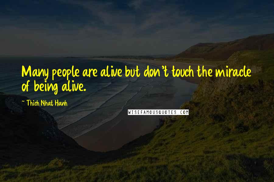 Thich Nhat Hanh Quotes: Many people are alive but don't touch the miracle of being alive.