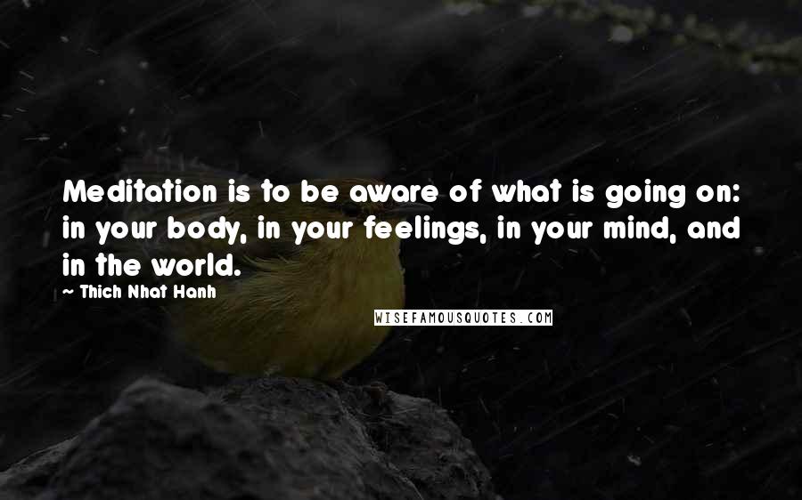 Thich Nhat Hanh Quotes: Meditation is to be aware of what is going on: in your body, in your feelings, in your mind, and in the world.