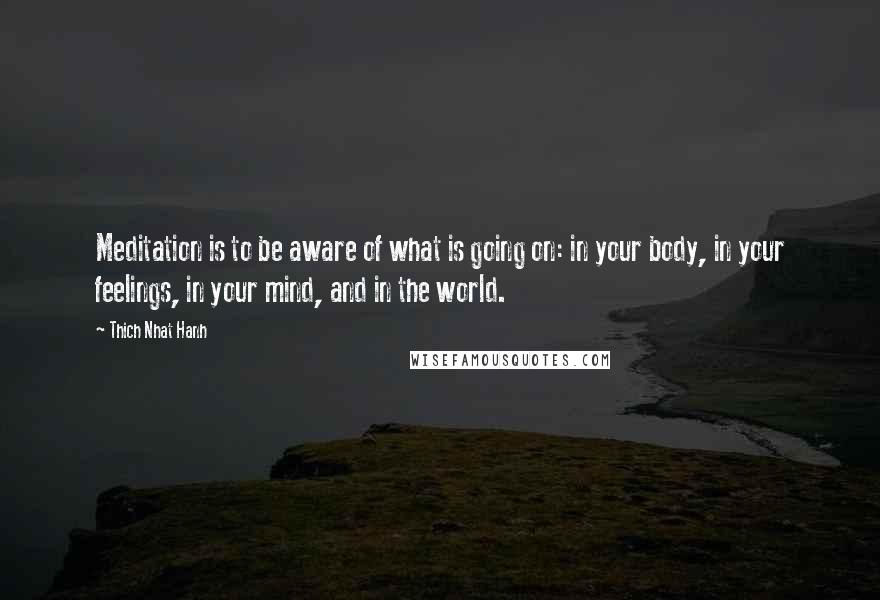 Thich Nhat Hanh Quotes: Meditation is to be aware of what is going on: in your body, in your feelings, in your mind, and in the world.