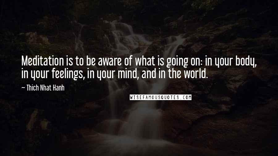 Thich Nhat Hanh Quotes: Meditation is to be aware of what is going on: in your body, in your feelings, in your mind, and in the world.