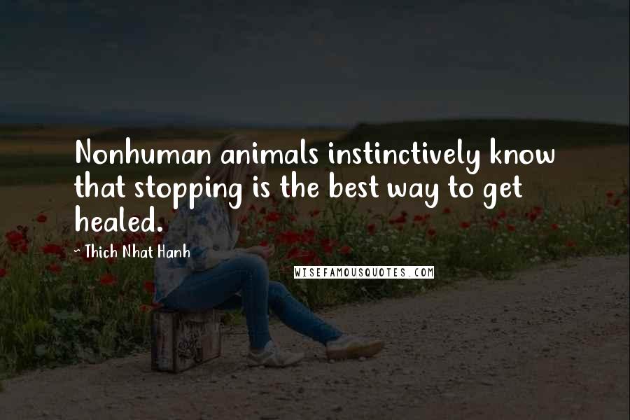 Thich Nhat Hanh Quotes: Nonhuman animals instinctively know that stopping is the best way to get healed.