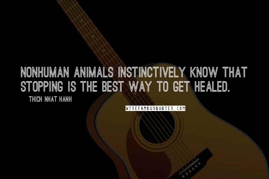 Thich Nhat Hanh Quotes: Nonhuman animals instinctively know that stopping is the best way to get healed.