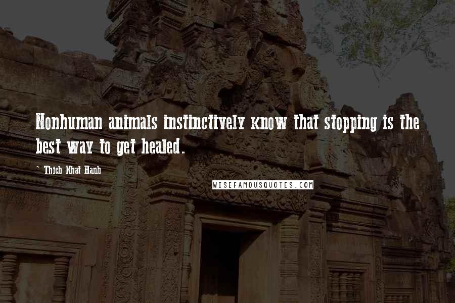 Thich Nhat Hanh Quotes: Nonhuman animals instinctively know that stopping is the best way to get healed.