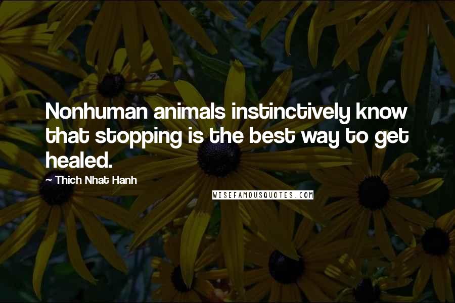 Thich Nhat Hanh Quotes: Nonhuman animals instinctively know that stopping is the best way to get healed.