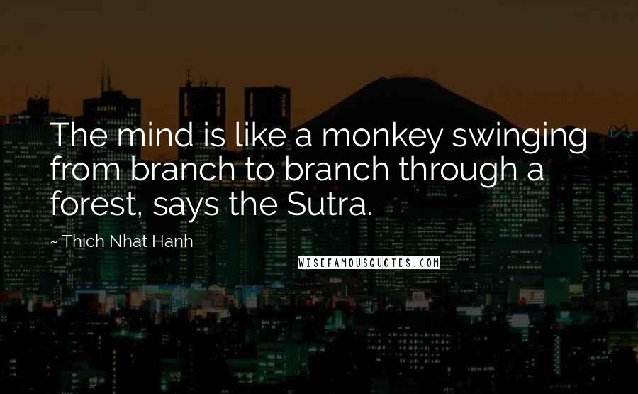 Thich Nhat Hanh Quotes: The mind is like a monkey swinging from branch to branch through a forest, says the Sutra.