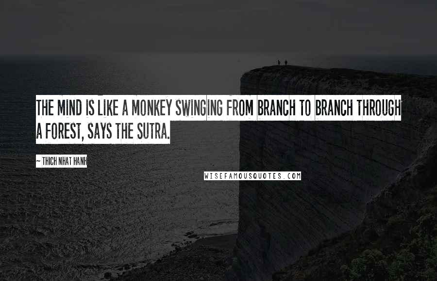 Thich Nhat Hanh Quotes: The mind is like a monkey swinging from branch to branch through a forest, says the Sutra.