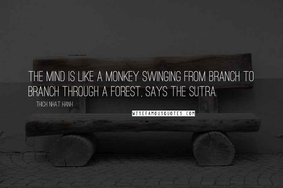 Thich Nhat Hanh Quotes: The mind is like a monkey swinging from branch to branch through a forest, says the Sutra.