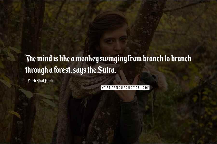 Thich Nhat Hanh Quotes: The mind is like a monkey swinging from branch to branch through a forest, says the Sutra.