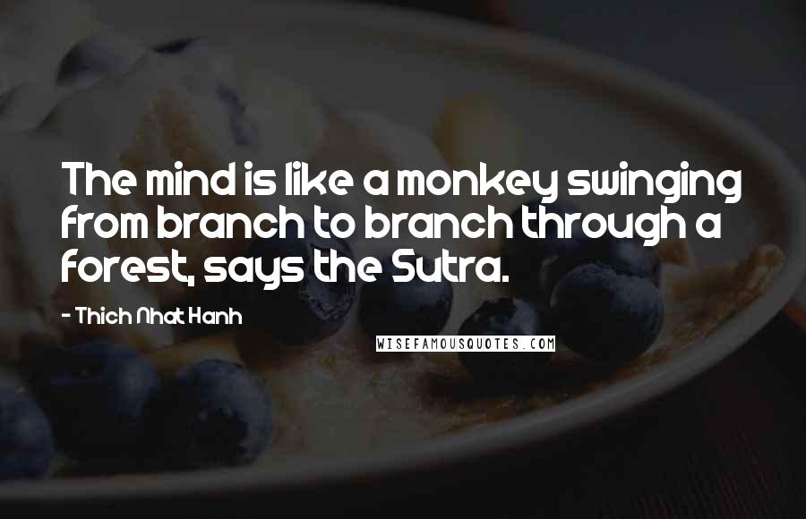 Thich Nhat Hanh Quotes: The mind is like a monkey swinging from branch to branch through a forest, says the Sutra.
