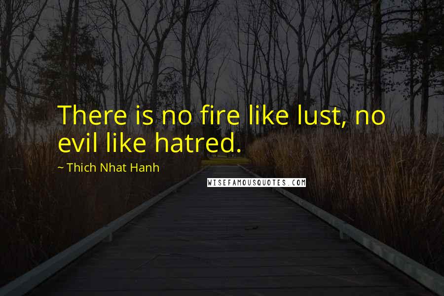Thich Nhat Hanh Quotes: There is no fire like lust, no evil like hatred.