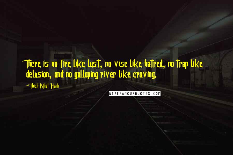 Thich Nhat Hanh Quotes: There is no fire like lust, no vise like hatred, no trap like delusion, and no galloping river like craving.