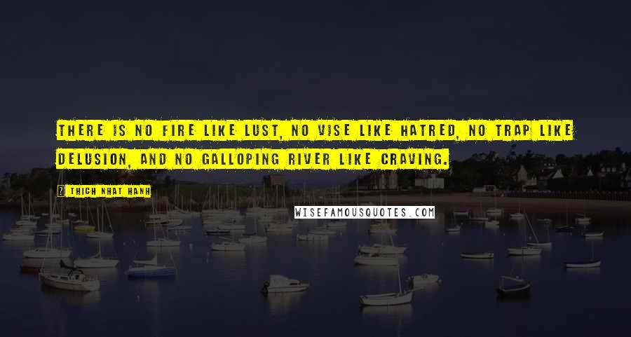 Thich Nhat Hanh Quotes: There is no fire like lust, no vise like hatred, no trap like delusion, and no galloping river like craving.