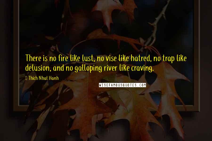 Thich Nhat Hanh Quotes: There is no fire like lust, no vise like hatred, no trap like delusion, and no galloping river like craving.