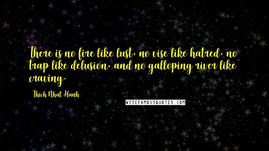 Thich Nhat Hanh Quotes: There is no fire like lust, no vise like hatred, no trap like delusion, and no galloping river like craving.