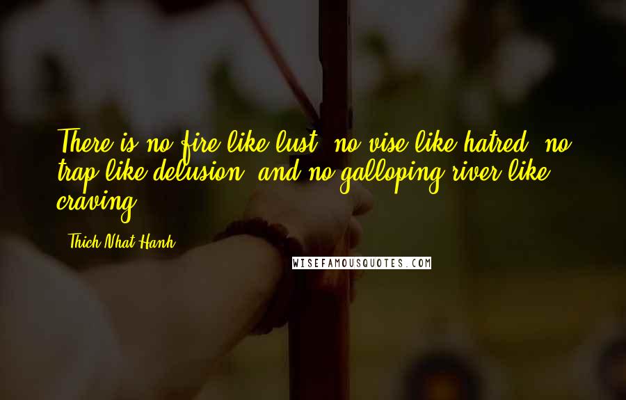 Thich Nhat Hanh Quotes: There is no fire like lust, no vise like hatred, no trap like delusion, and no galloping river like craving.