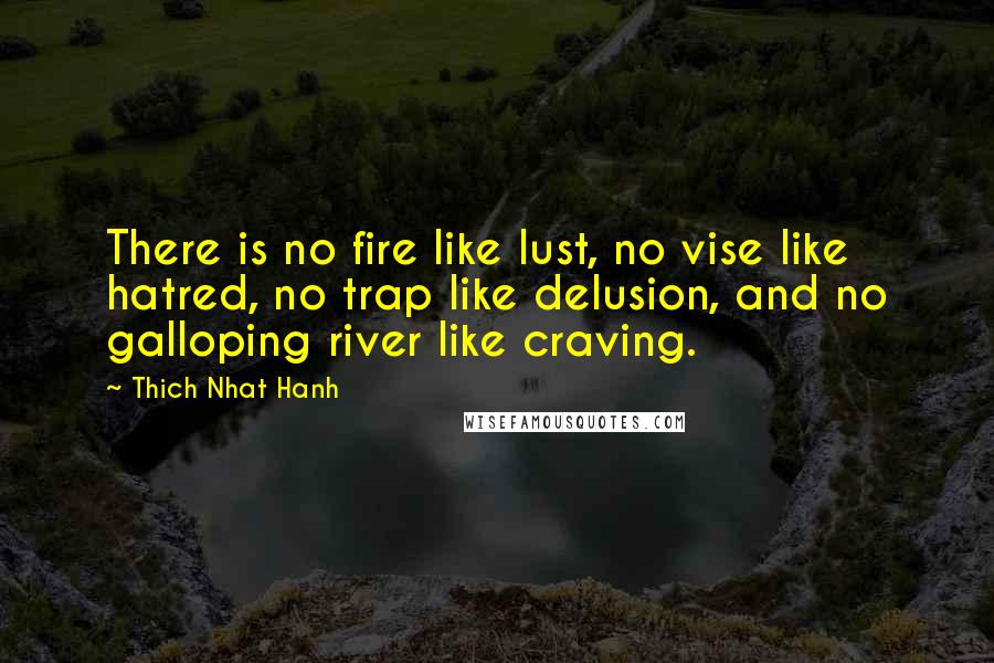 Thich Nhat Hanh Quotes: There is no fire like lust, no vise like hatred, no trap like delusion, and no galloping river like craving.