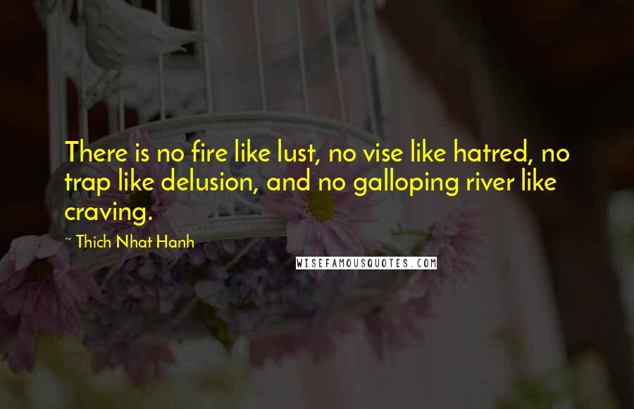 Thich Nhat Hanh Quotes: There is no fire like lust, no vise like hatred, no trap like delusion, and no galloping river like craving.