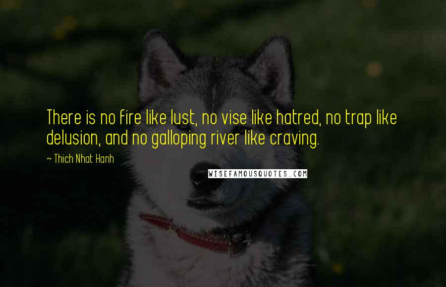 Thich Nhat Hanh Quotes: There is no fire like lust, no vise like hatred, no trap like delusion, and no galloping river like craving.