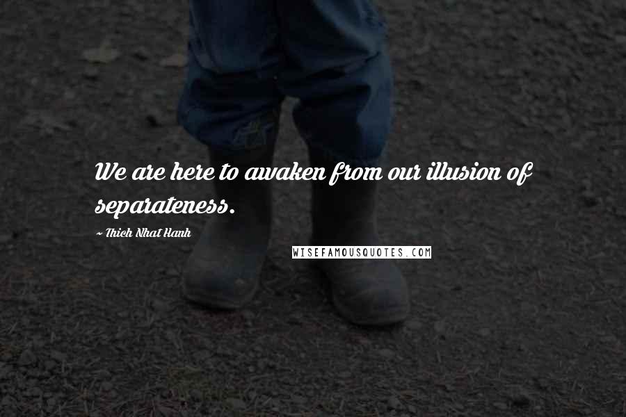 Thich Nhat Hanh Quotes: We are here to awaken from our illusion of separateness.