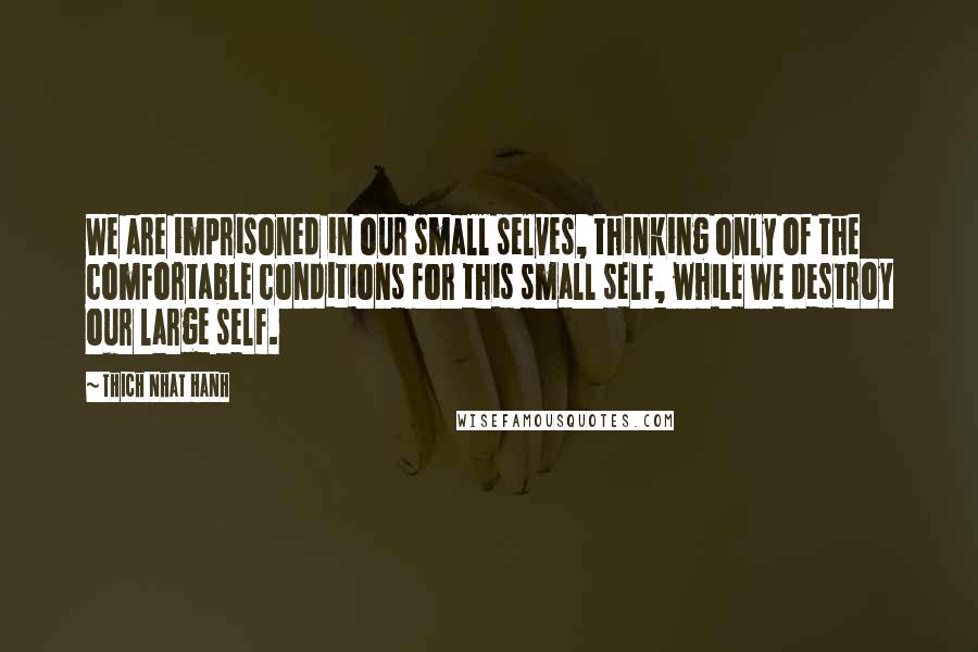 Thich Nhat Hanh Quotes: We are imprisoned in our small selves, thinking only of the comfortable conditions for this small self, while we destroy our large self.