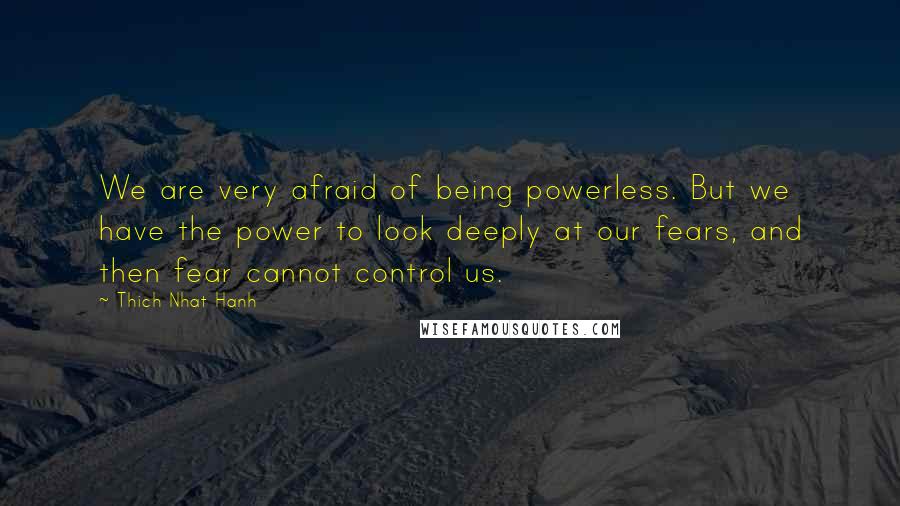 Thich Nhat Hanh Quotes: We are very afraid of being powerless. But we have the power to look deeply at our fears, and then fear cannot control us.