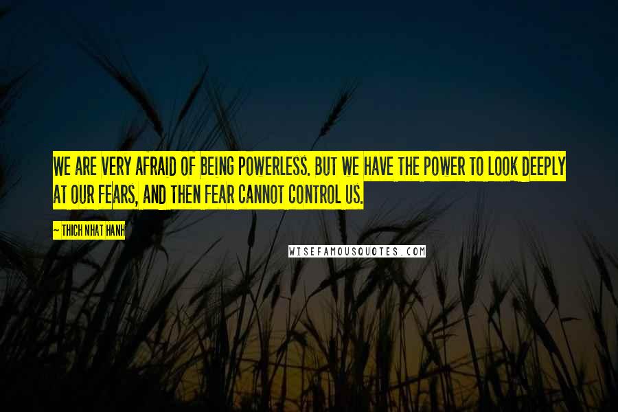 Thich Nhat Hanh Quotes: We are very afraid of being powerless. But we have the power to look deeply at our fears, and then fear cannot control us.