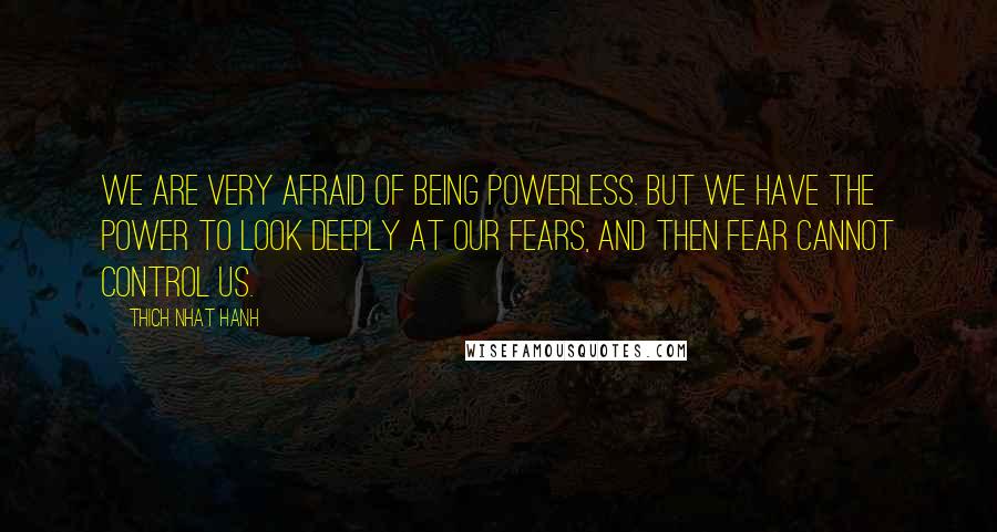 Thich Nhat Hanh Quotes: We are very afraid of being powerless. But we have the power to look deeply at our fears, and then fear cannot control us.