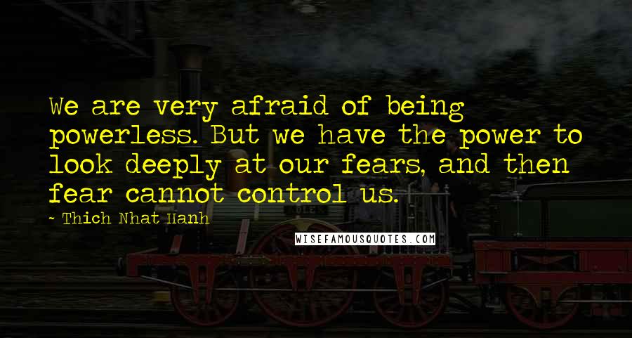 Thich Nhat Hanh Quotes: We are very afraid of being powerless. But we have the power to look deeply at our fears, and then fear cannot control us.