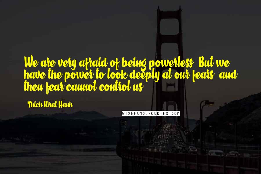 Thich Nhat Hanh Quotes: We are very afraid of being powerless. But we have the power to look deeply at our fears, and then fear cannot control us.