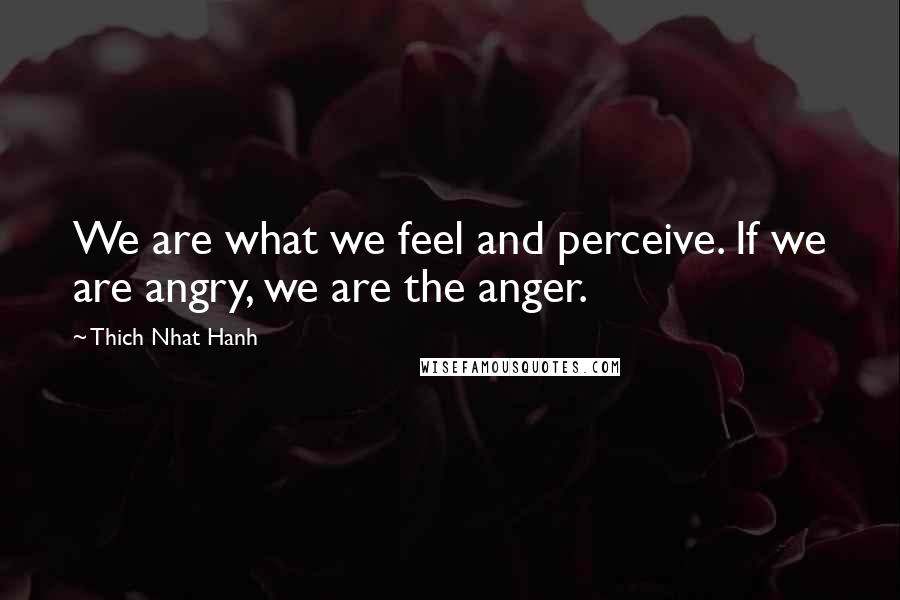 Thich Nhat Hanh Quotes: We are what we feel and perceive. If we are angry, we are the anger.