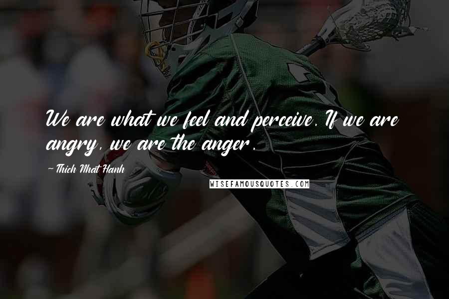 Thich Nhat Hanh Quotes: We are what we feel and perceive. If we are angry, we are the anger.