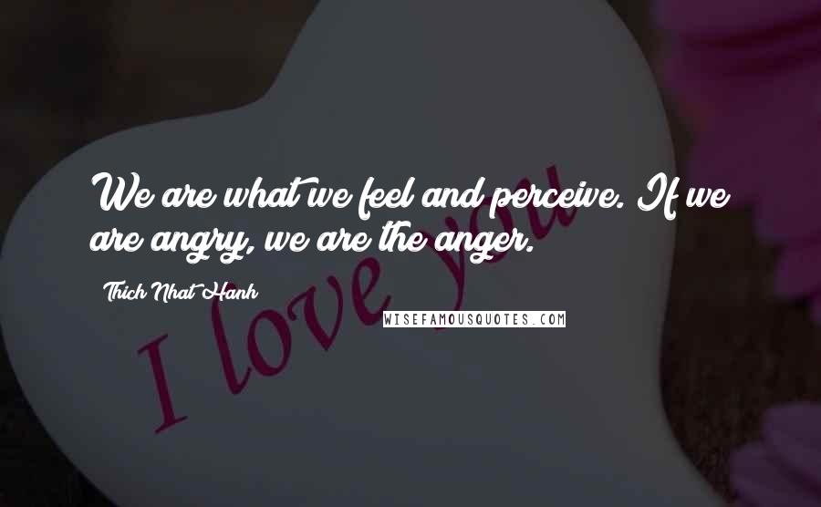 Thich Nhat Hanh Quotes: We are what we feel and perceive. If we are angry, we are the anger.