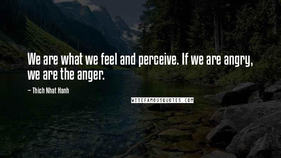 Thich Nhat Hanh Quotes: We are what we feel and perceive. If we are angry, we are the anger.