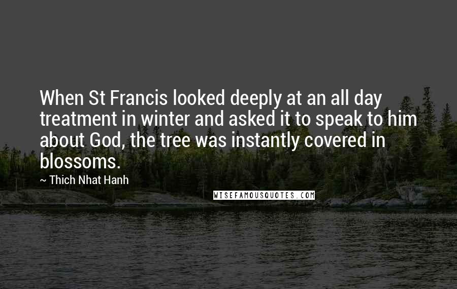 Thich Nhat Hanh Quotes: When St Francis looked deeply at an all day treatment in winter and asked it to speak to him about God, the tree was instantly covered in blossoms.