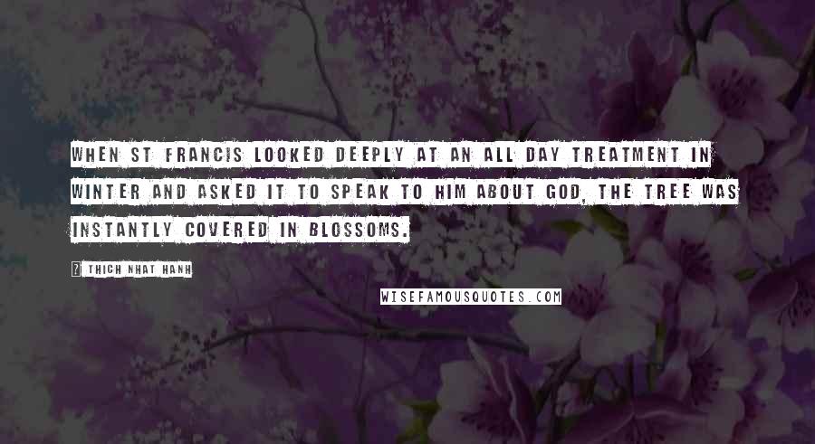 Thich Nhat Hanh Quotes: When St Francis looked deeply at an all day treatment in winter and asked it to speak to him about God, the tree was instantly covered in blossoms.