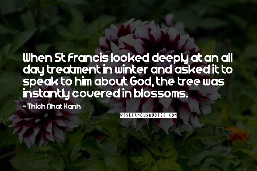 Thich Nhat Hanh Quotes: When St Francis looked deeply at an all day treatment in winter and asked it to speak to him about God, the tree was instantly covered in blossoms.