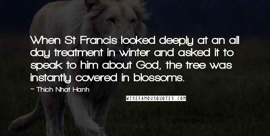 Thich Nhat Hanh Quotes: When St Francis looked deeply at an all day treatment in winter and asked it to speak to him about God, the tree was instantly covered in blossoms.