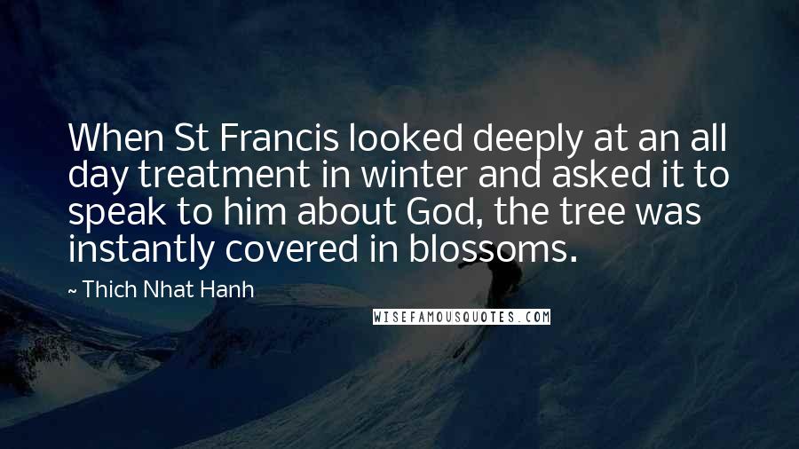 Thich Nhat Hanh Quotes: When St Francis looked deeply at an all day treatment in winter and asked it to speak to him about God, the tree was instantly covered in blossoms.