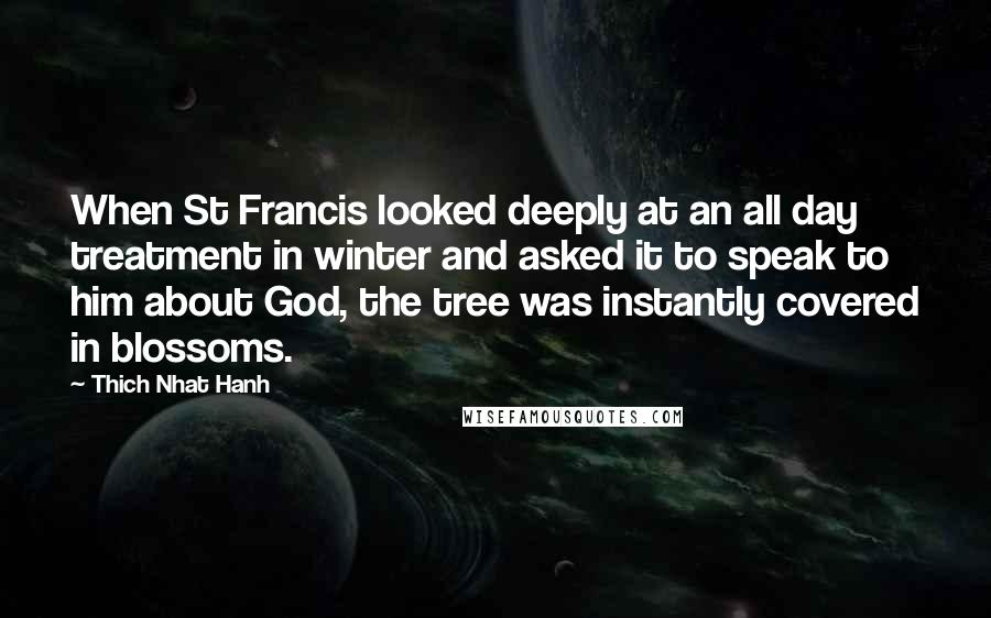 Thich Nhat Hanh Quotes: When St Francis looked deeply at an all day treatment in winter and asked it to speak to him about God, the tree was instantly covered in blossoms.