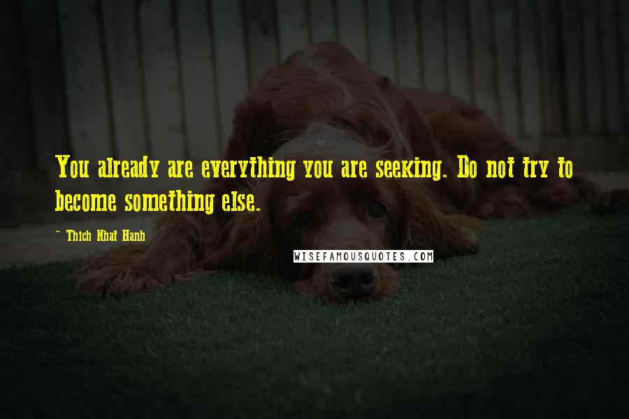 Thich Nhat Hanh Quotes: You already are everything you are seeking. Do not try to become something else.