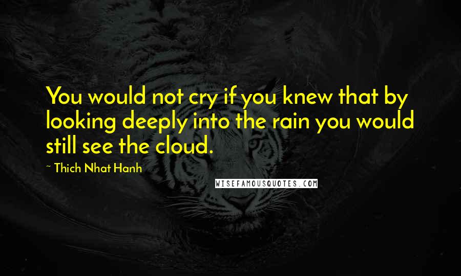 Thich Nhat Hanh Quotes: You would not cry if you knew that by looking deeply into the rain you would still see the cloud.