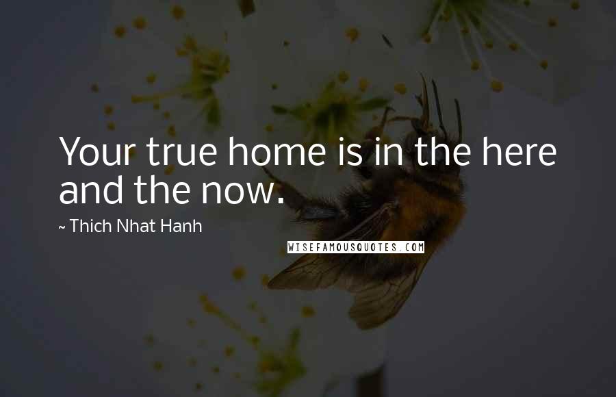 Thich Nhat Hanh Quotes: Your true home is in the here and the now.